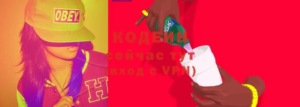 молекула духа Майский