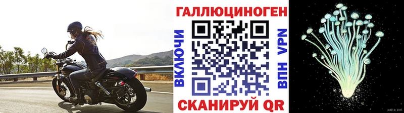 Галлюциногенные грибы MAGIC MUSHROOMS  Купить закладки  Игра 